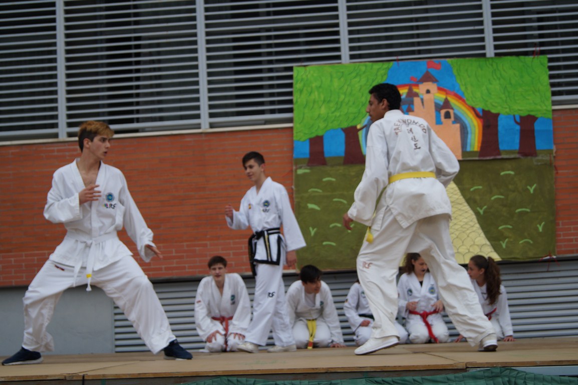Artes Marciales
